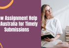 Law Assignment Help in Australia for Timely Submissions