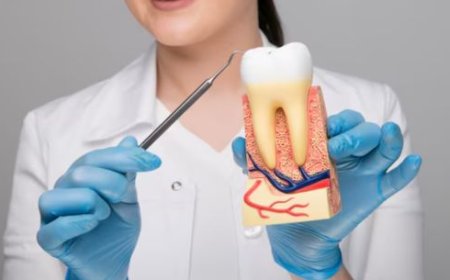Saving Your Smile: The Importance of Root Canal Treatment