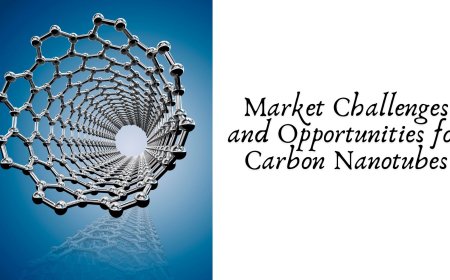 Market Challenges and Opportunities for Carbon Nanotubes