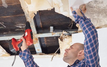 Water Damage Restoration Company What You Need to Know