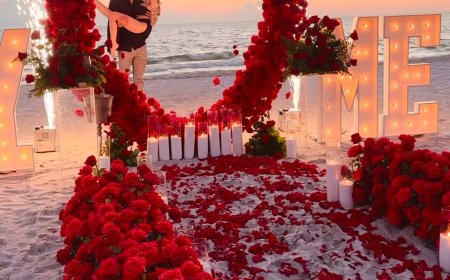 What Do Proposal Packages In Florida Usually Include?