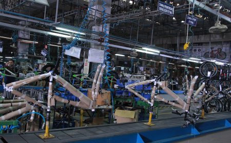 How Indian Bicycle Brands Are Gaining Momentum in Emerging Markets