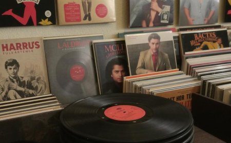 The Soul of India on Vinyl: Classical Albums You Should Hear