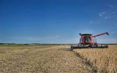 Agricultural Diesel Suppliers: Fueling Farm Machinery for Optimal Performance