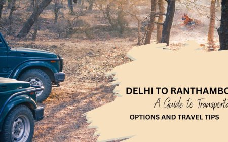 Your Delhi to Ranthambore Safari: A Comprehensive Travel Guide