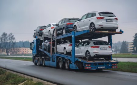 Car Transport Company Florida – Reliable Service Backed by Experience