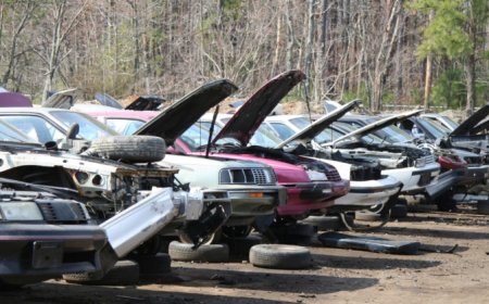 Recycling on Four Wheels: The Sustainability Science Behind Car Dismantling