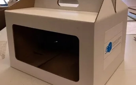 How Can Custom Gable Boxes with Windows Boost Branding?