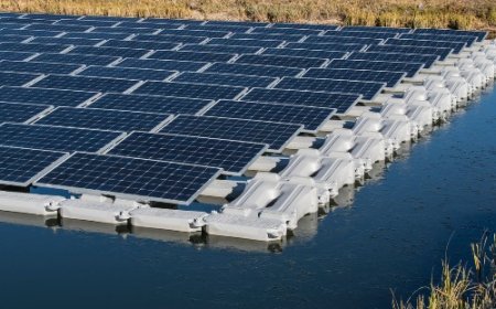 Floating Solar Industry Report 2025–2030: Growth, Trends & Key Players