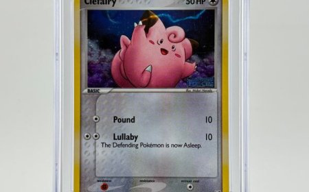 How to Choose the Right Magic: The Gathering Card Shop for Your Collection and Play