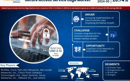 Secure Access Service Edge Industry Report 2024–2030: Growth, Trends & Key Players