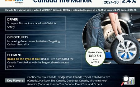 Canada Tire Industry Report 2025–2030: Growth, Trends & Key Players
