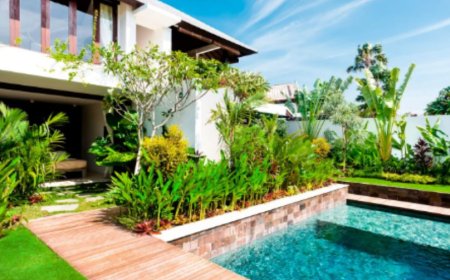 Consistent Outdoor Care in Ibiza | ALIA Management Ibiza