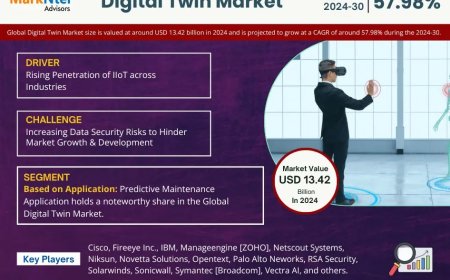 Digital Twin Industry Report 2024–2030: Growth, Trends & Key Players