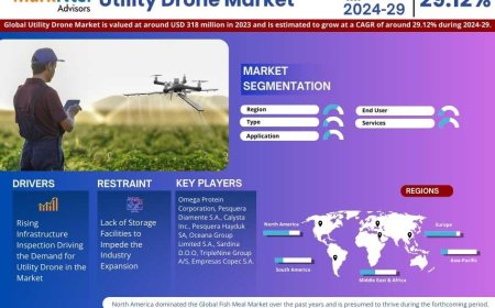 Utility Drone Industry Report 2024–2029: Growth, Trends & Key Players