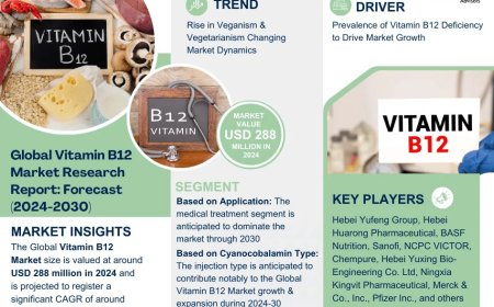 Vitamin B12 Industry Report 2024–2030: Growth, Trends & Key Players