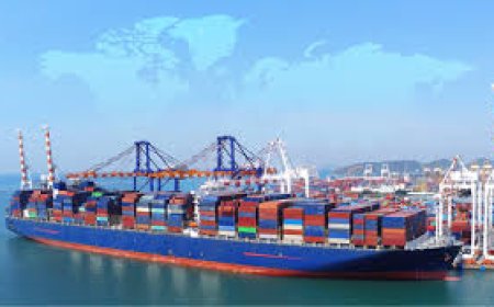 Dubai’s Leading Experts in Sea Freight and Cargo Shipping