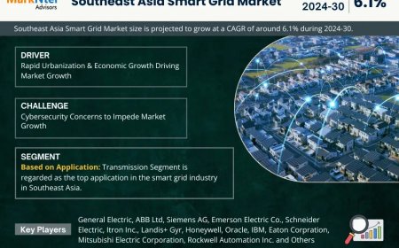 Southeast Asia Smart Grid Industry Report 2024–2030: Growth, Trends & Key Players