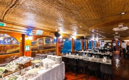 Experience the Magic of a Dinner Cruise Dubai with Daycationtour