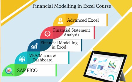 AI and Automation in Finance : Why You Still Need an Financial Analyst Course in 2025, 100% Job, Financial Modeling Course in Delhi, 110057 -  by SLA Consultants India, Free SAP FICO Certification - "Summer Offer 2025"