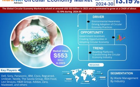 Circular Economy Industry Report 2024–2030: Growth, Trends & Key Players