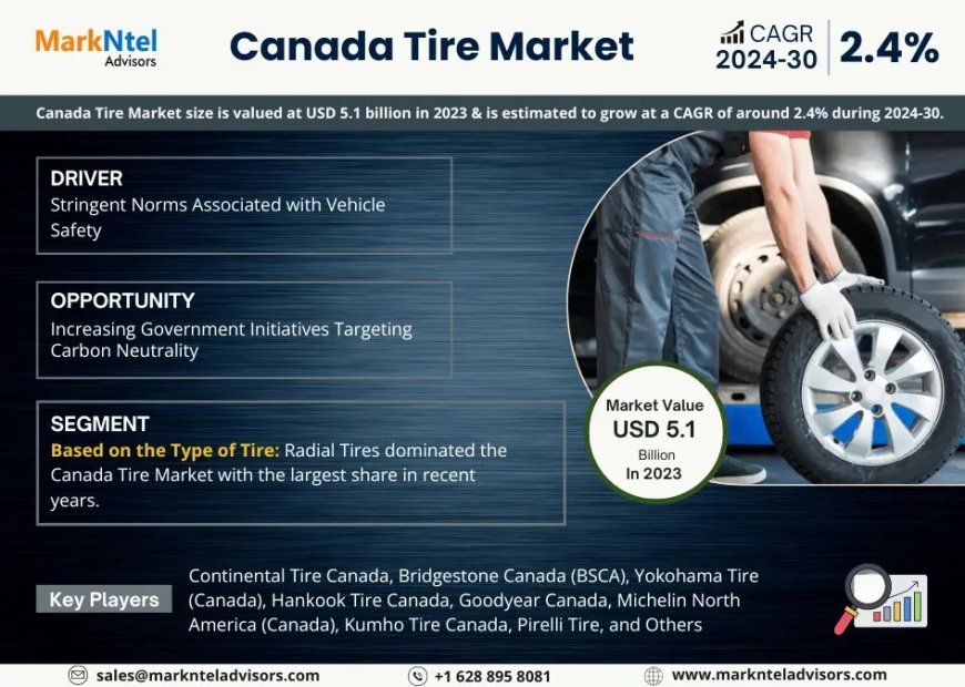 Canada Tire Industry Report 2025–2030: Growth, Trends & Key Players