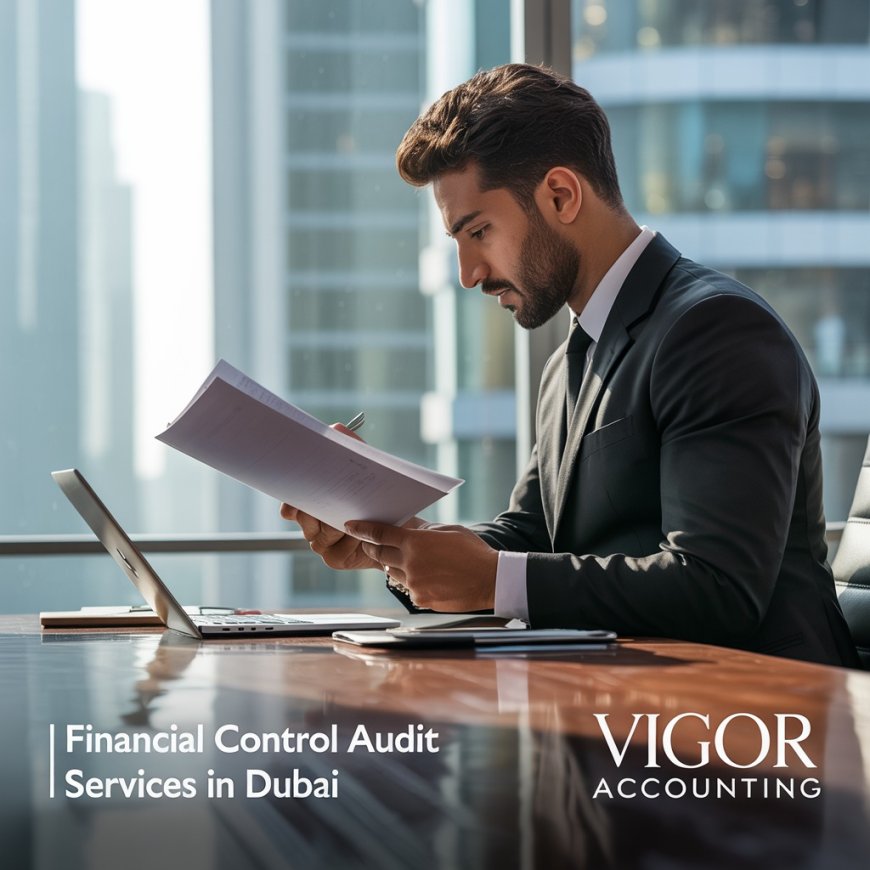 Financial Control Audit Services in Dubai: A Strategic Approach for Dubai Businesses