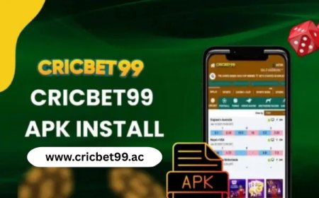 Cricbet99 Volleyball Betting: Domestic & International Leagues
